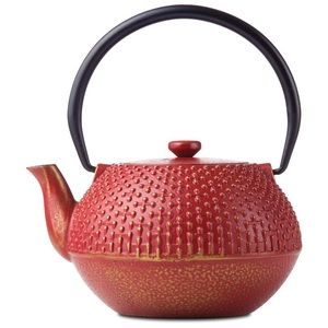 Chef's Secret® Cast Iron Tea Pot